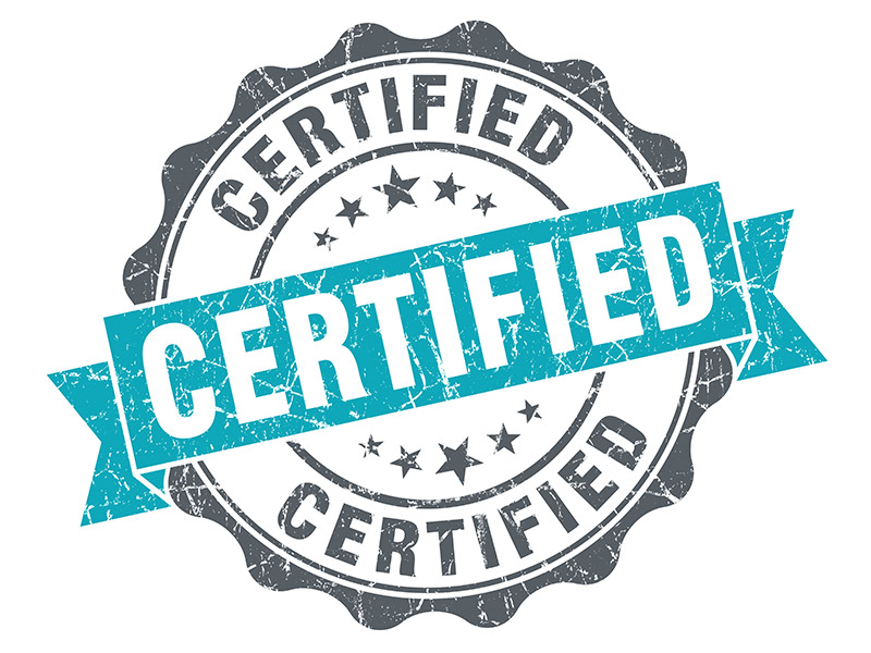 Master Trainer certification program